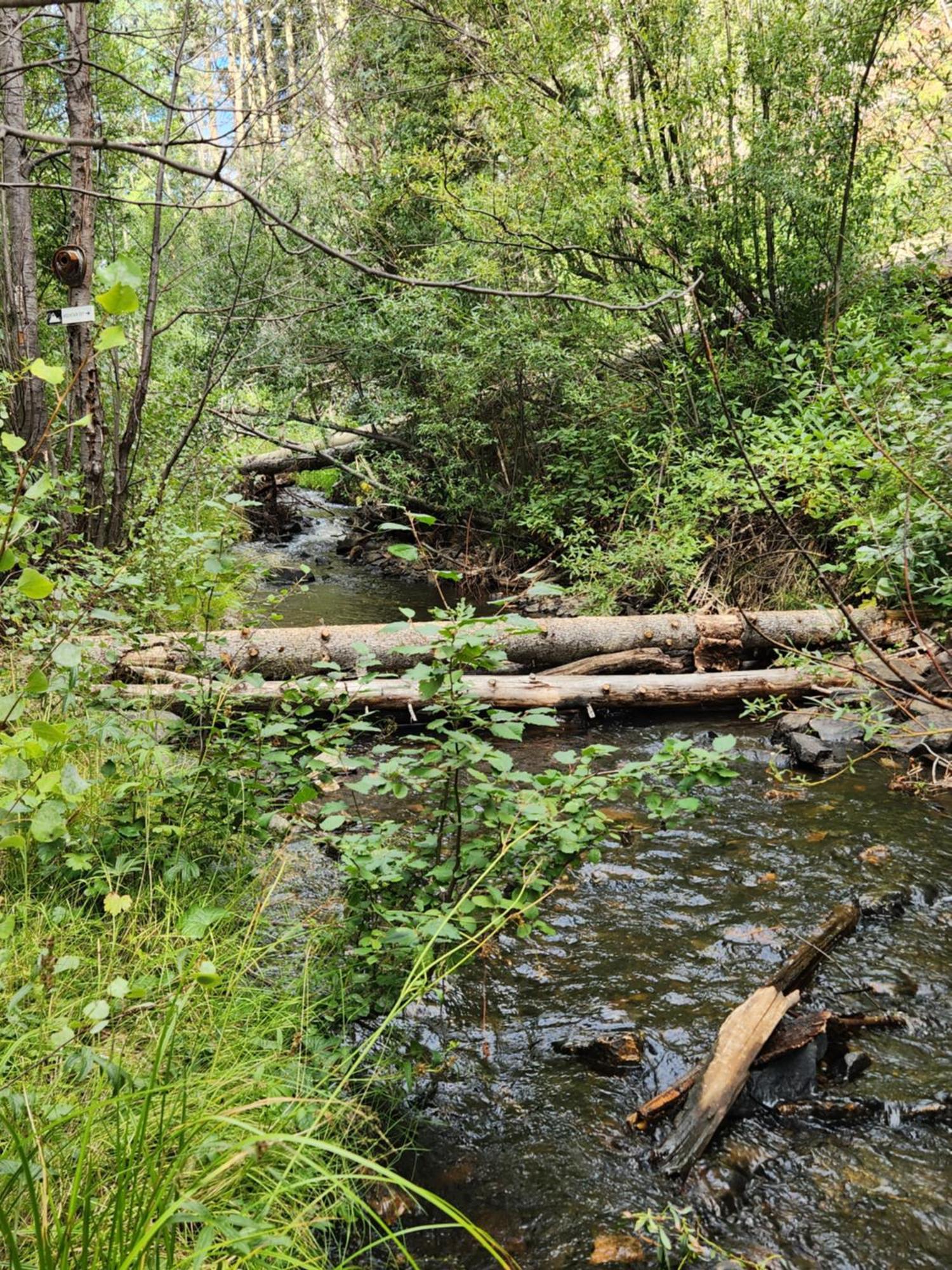 Cabin By The Creek With High Speed Wifi Red River Buitenkant foto
